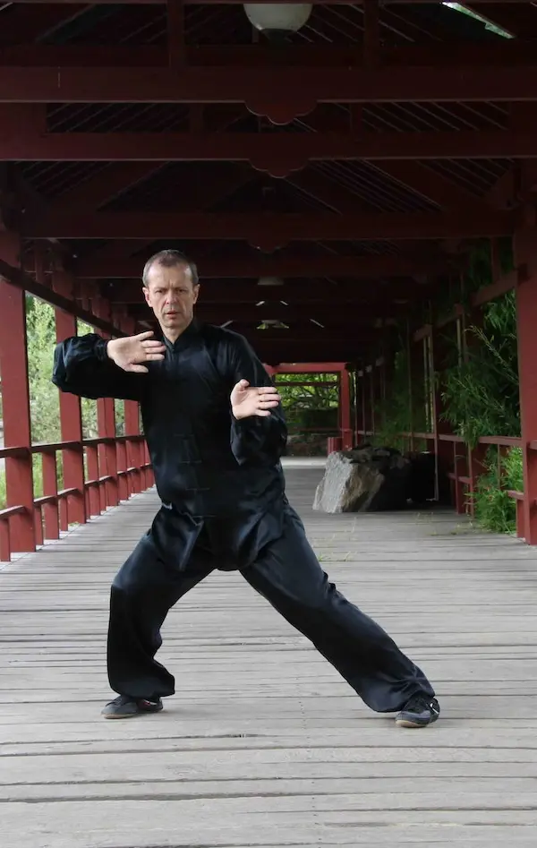 Thierry Doctrinal Taiji